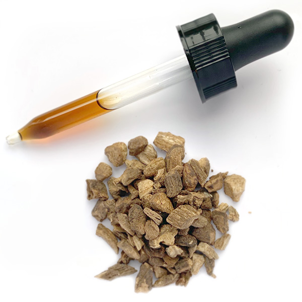bulk burdock root