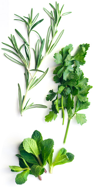 botanicals