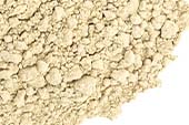 Pumpkin Seed Protein Powder 70%, Organic, Unroasted image