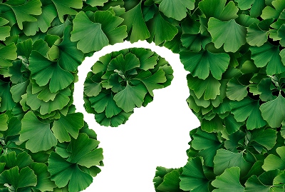 Consumer Lifestyle Trend: Aging Population Driving Botanical Supplement Trends